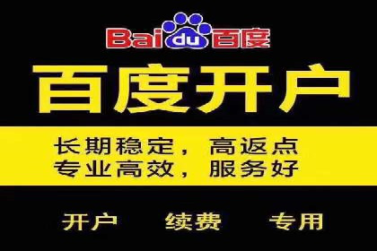 搜索开户返点攻略：案例分析赚钱机会